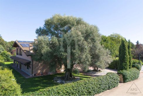 imm_37497-20251013103208-1280-