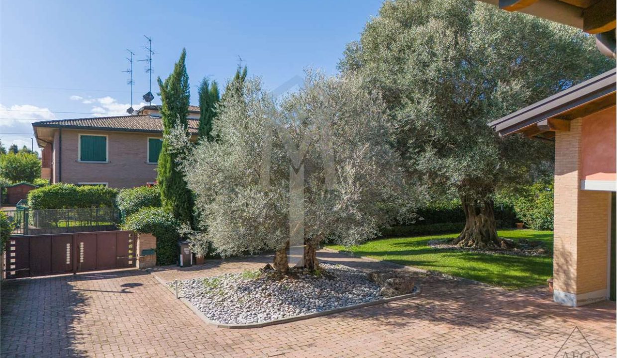 imm_37501-20240927163107-1280-