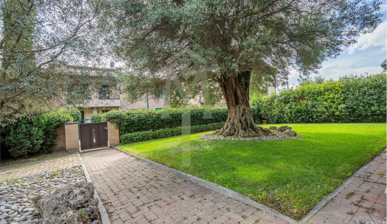 imm_37506-20240927164846-1280-