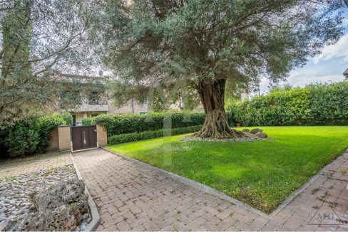 imm_37506-20240927164846-1280-