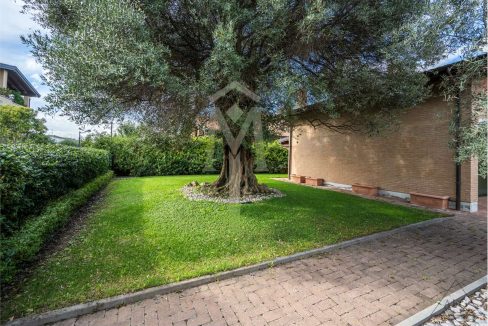 imm_37512-20240927163141-1280-