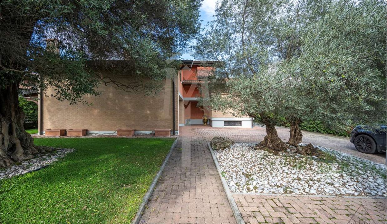 imm_37513-20240927163146-1280-