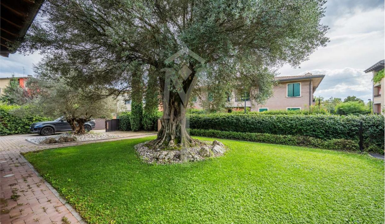 imm_37517-20240927163204-1280-