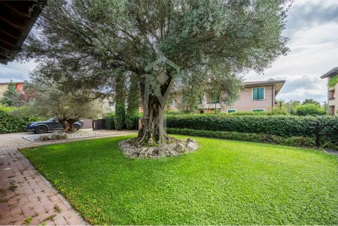 imm_37517-20240927163204-1280-