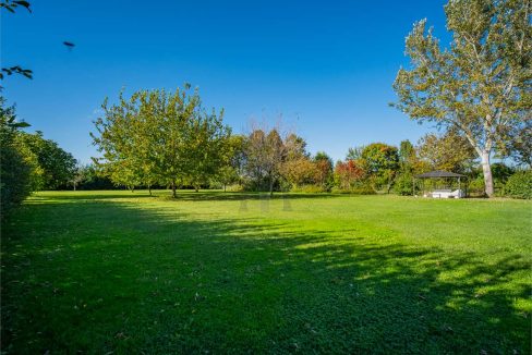 imm_38821-20241114180802-1280-