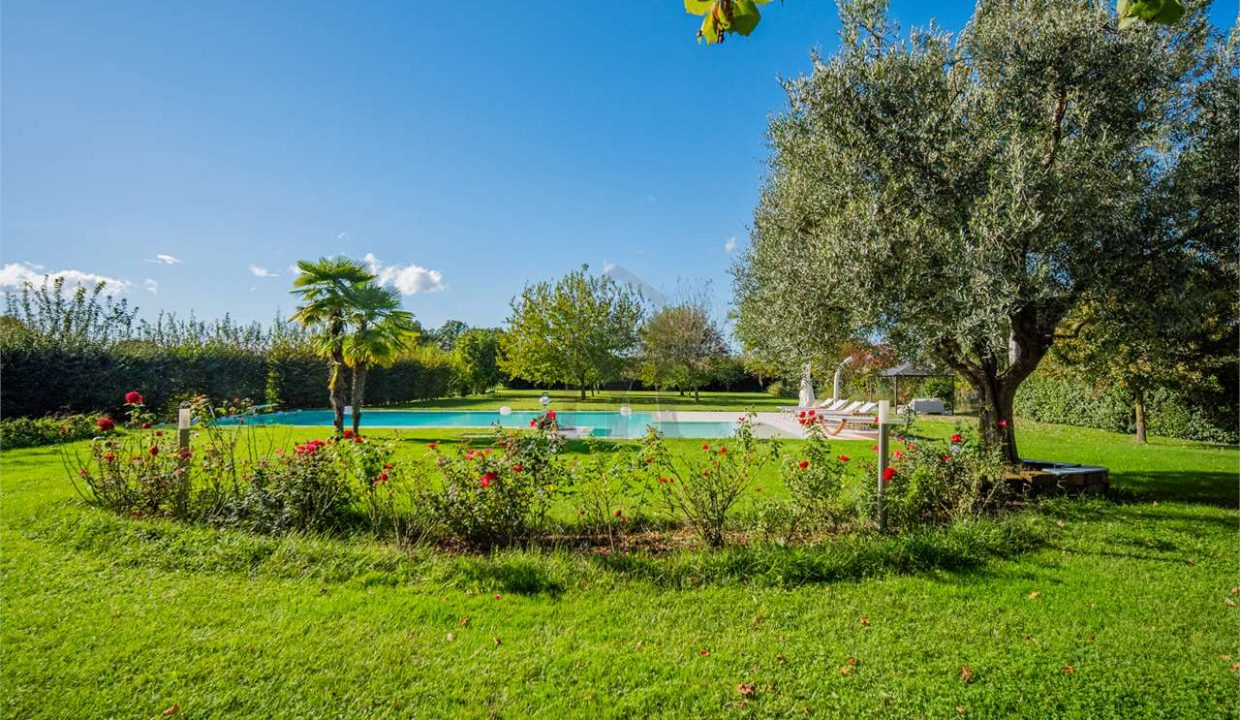 imm_38826-20241114174350-1280-