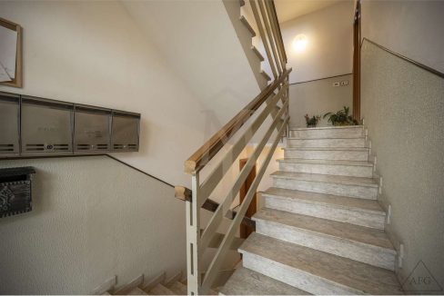 imm_38858-20241121100257-1280-