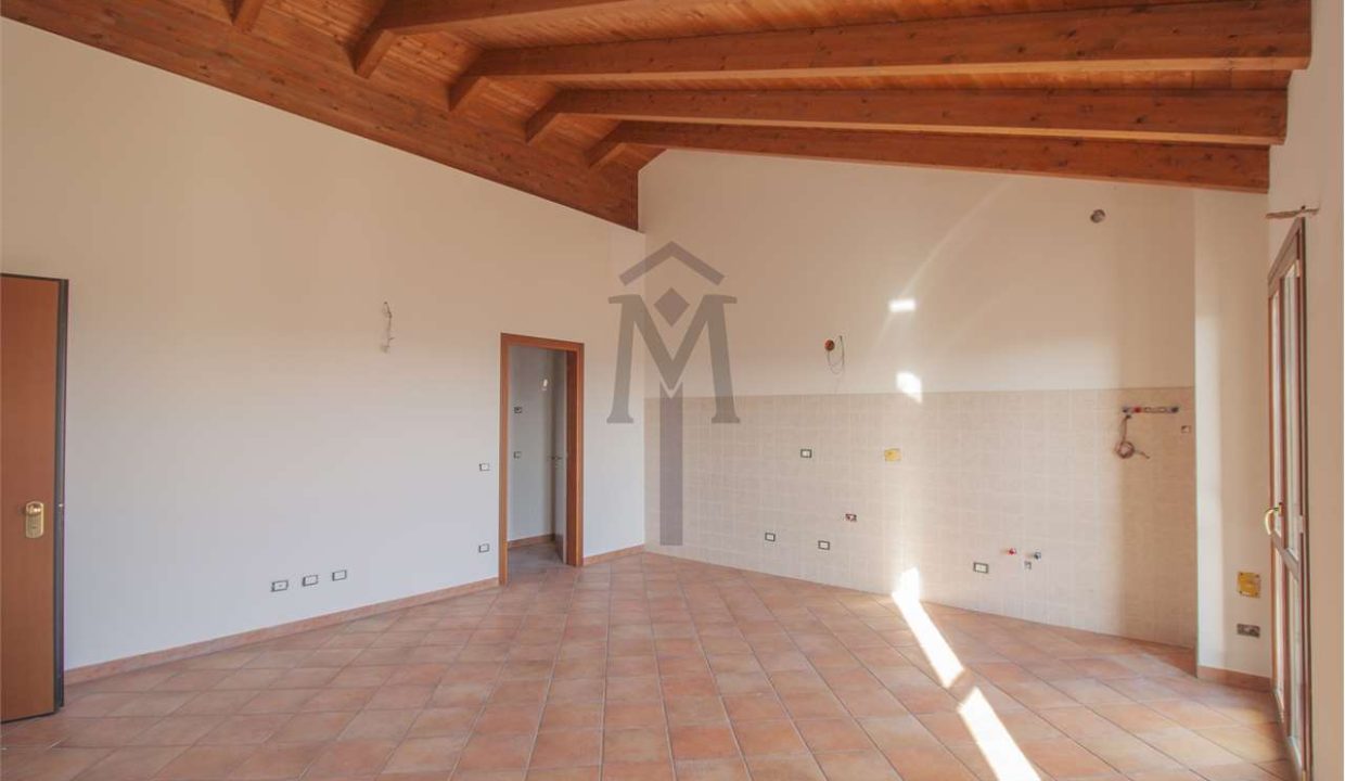 imm_39559-20250117123434-1280-