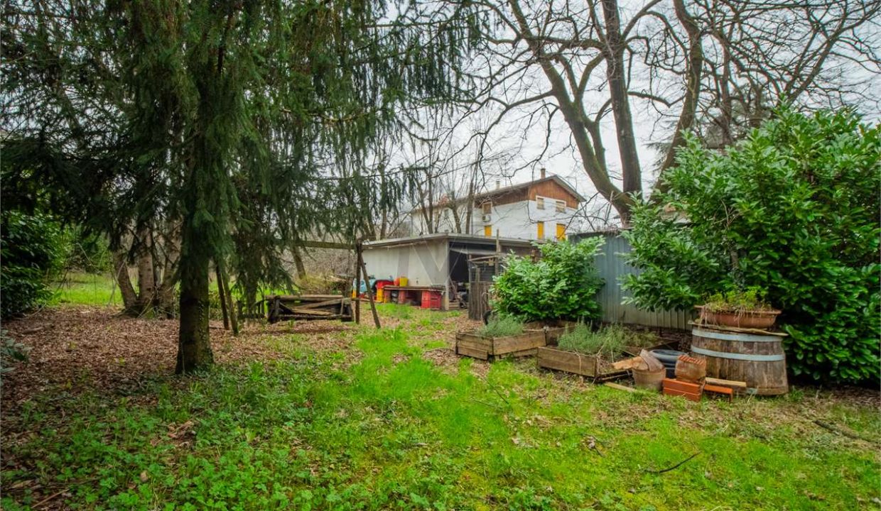 imm_40436-20250304091828-1280-