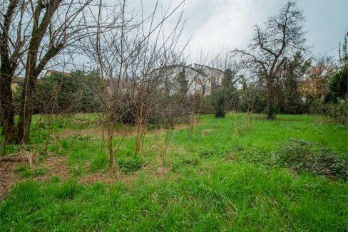 imm_40440-20250304091841-1280-