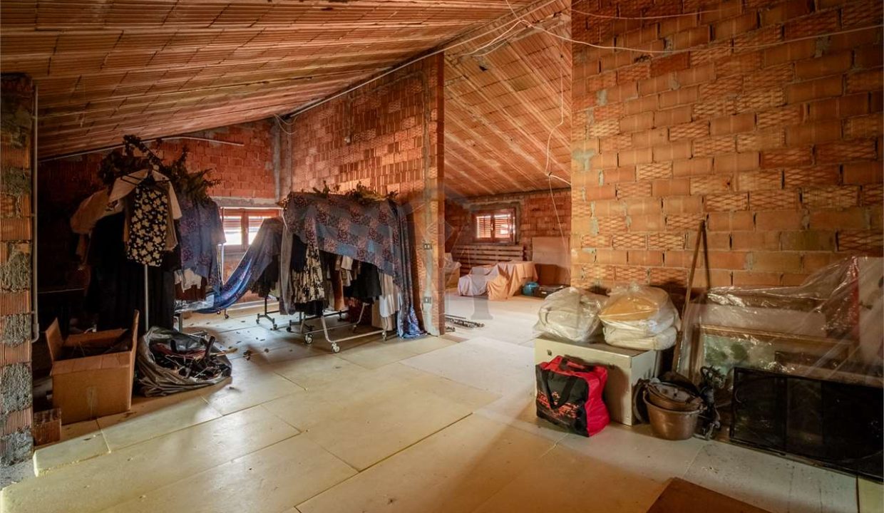 imm_40727-20250313153508-1280-