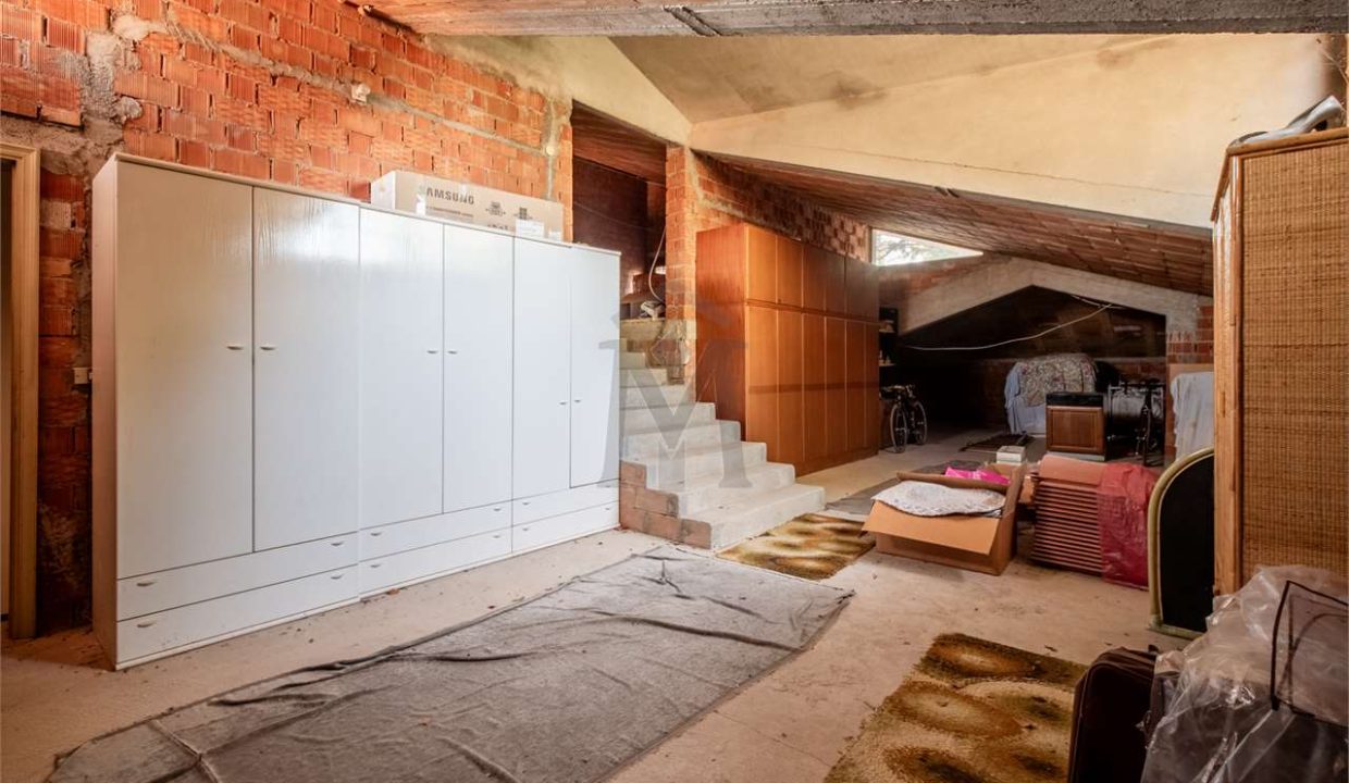 imm_40728-20250313153517-1280-