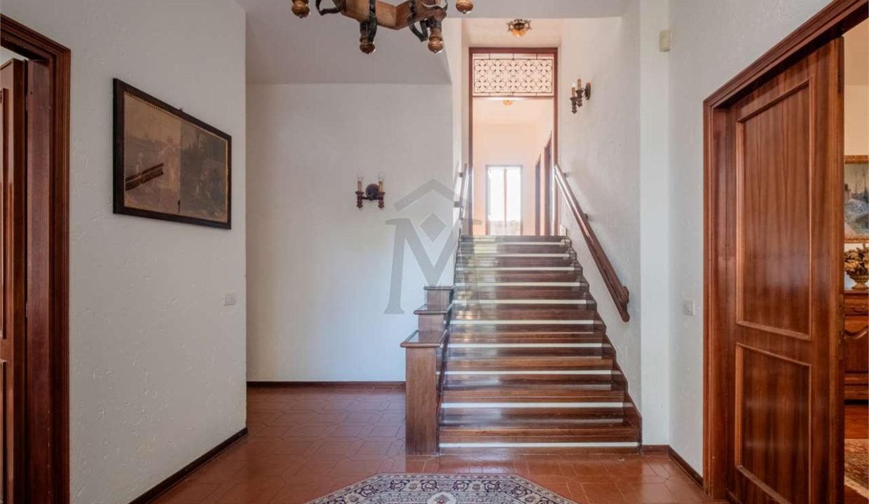 imm_40752-20250312184154-1280-