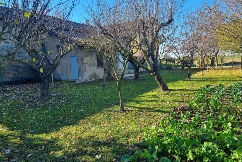 imm_40950-20250313124317-1280-