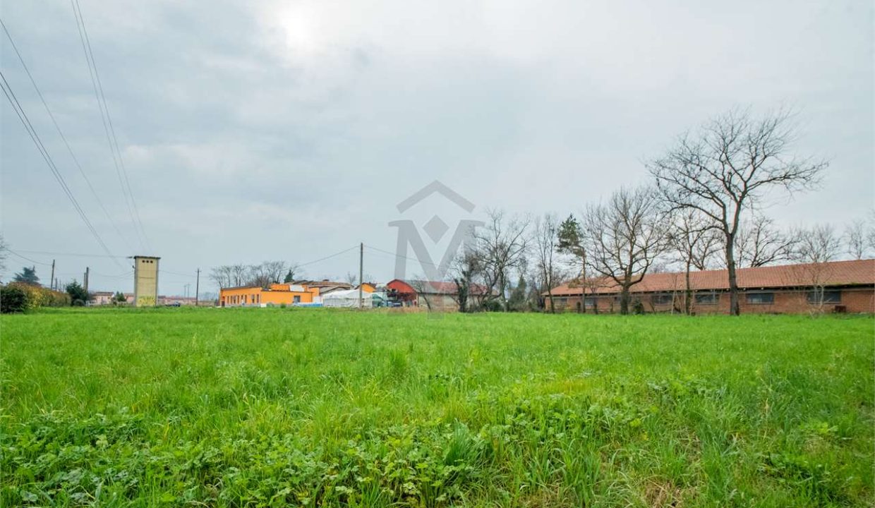 imm_41249-20250408094022-1280-