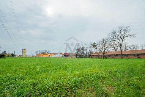 imm_41249-20250408094022-1280-