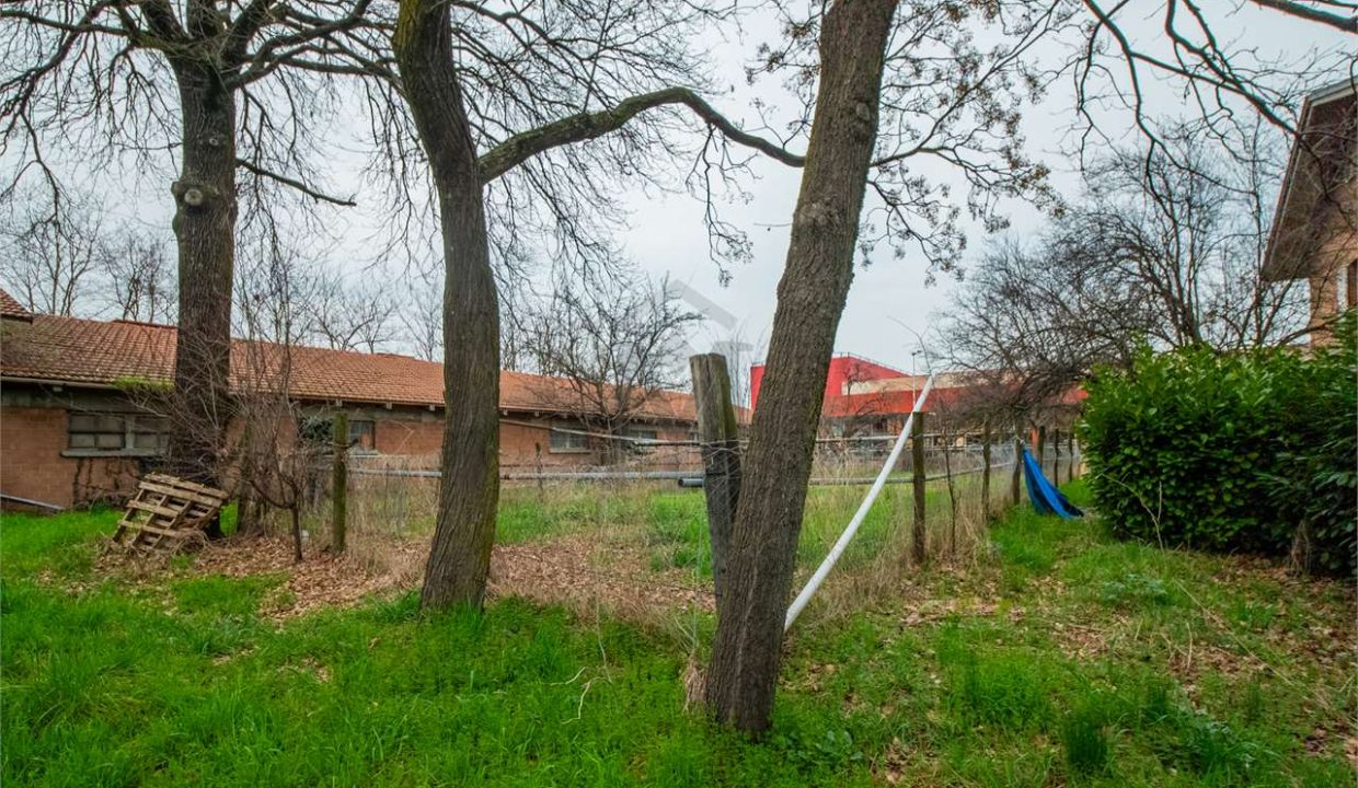 imm_41250-20250408094024-1280-