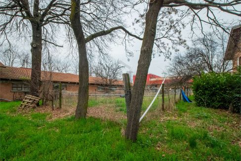 imm_41250-20250408094024-1280-