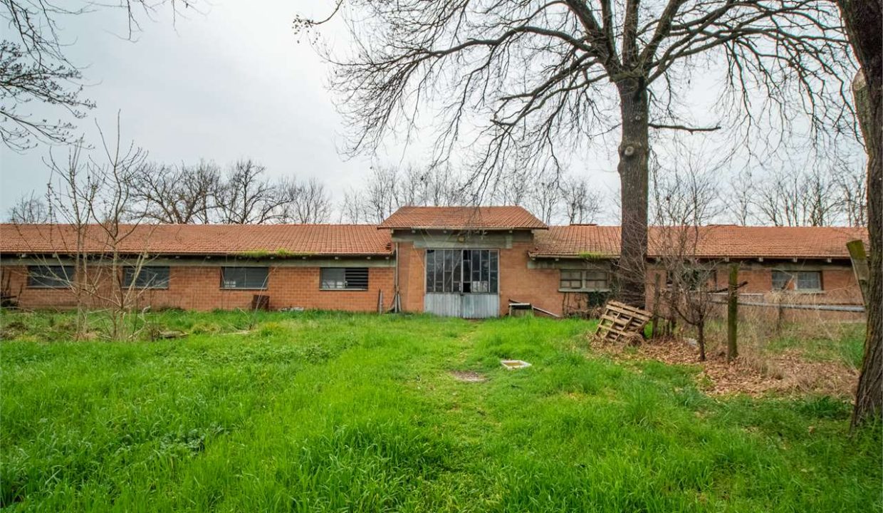 imm_41251-20250408093956-1280-