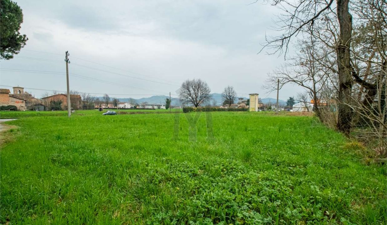 imm_41252-20250408094035-1280-