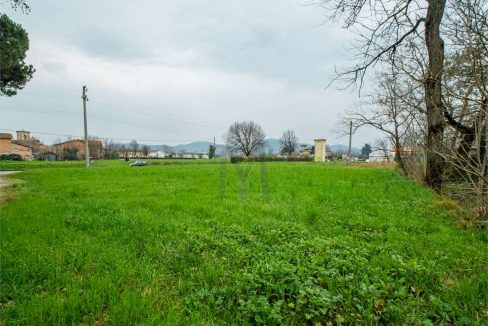 imm_41252-20250408094035-1280-