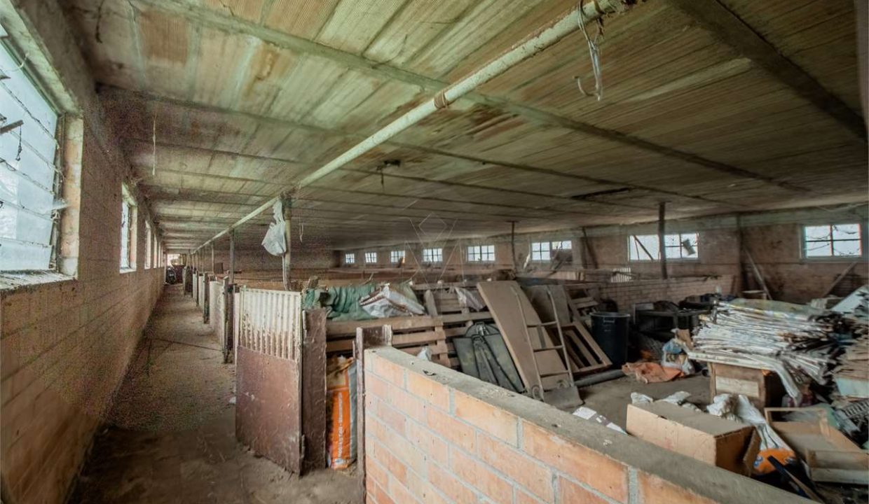 imm_41254-20250408094029-1280-