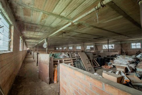 imm_41254-20250408094029-1280-