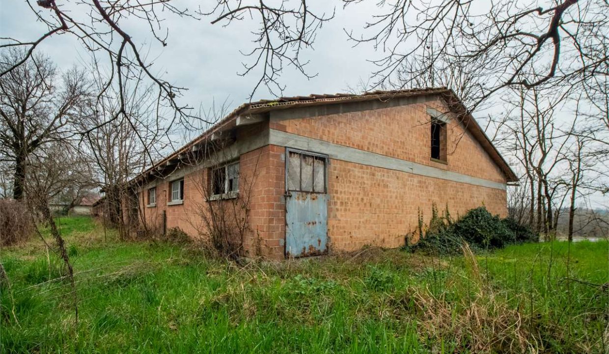 imm_41256-20250408094003-1280-