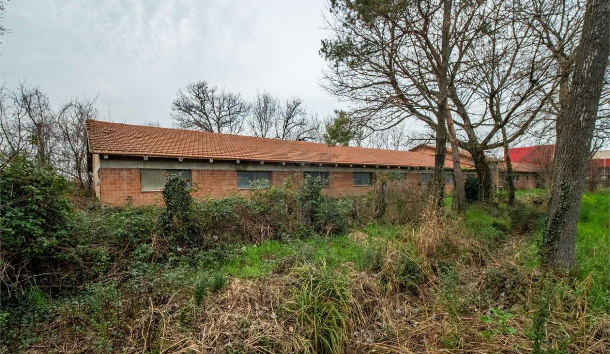 imm_41257-20250408094001-1280-