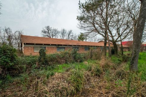 imm_41257-20250408094001-1280-