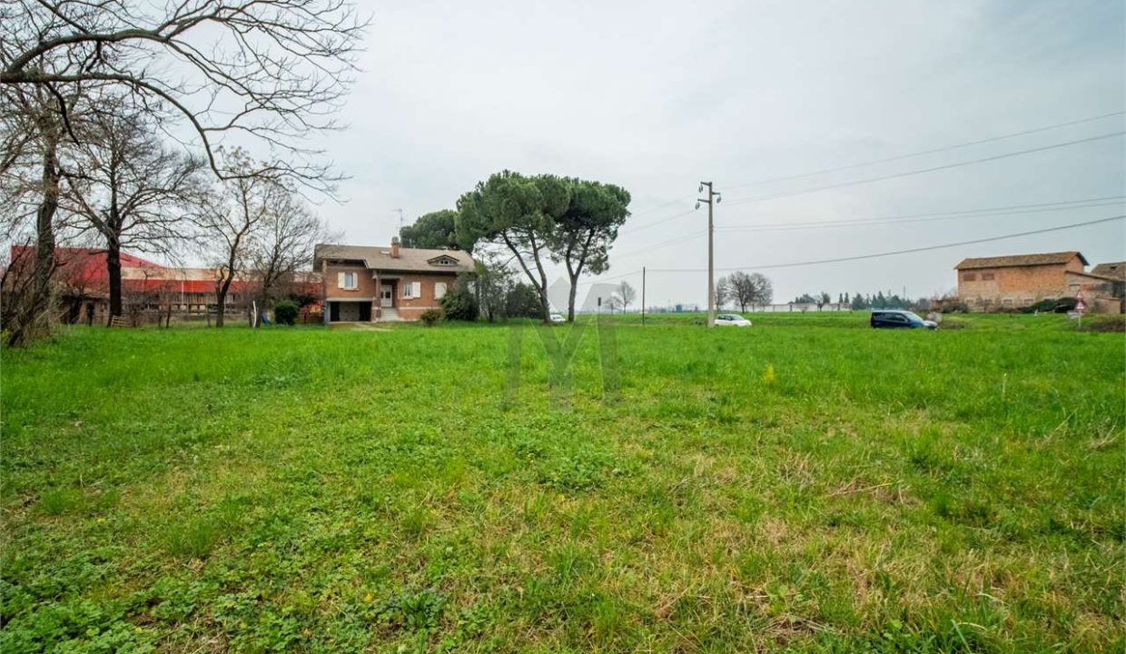 imm_41258-20250408094133-1280-