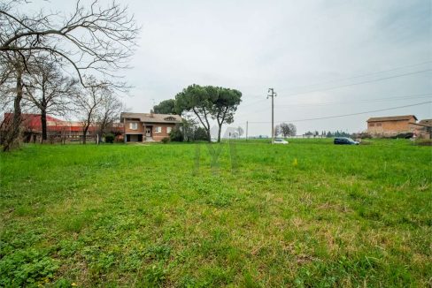 imm_41258-20250408094133-1280-