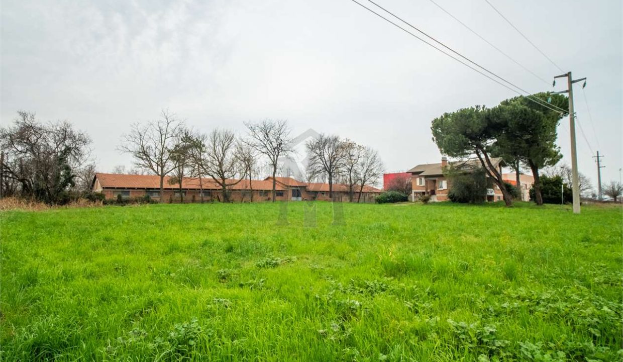 imm_41260-20250408094013-1280-