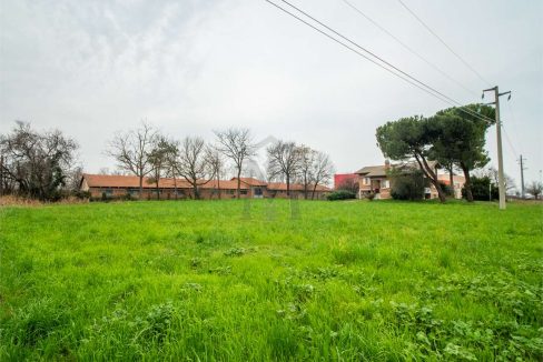 imm_41260-20250408094013-1280-