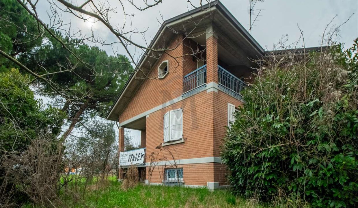 imm_41262-20250408094315-1280-