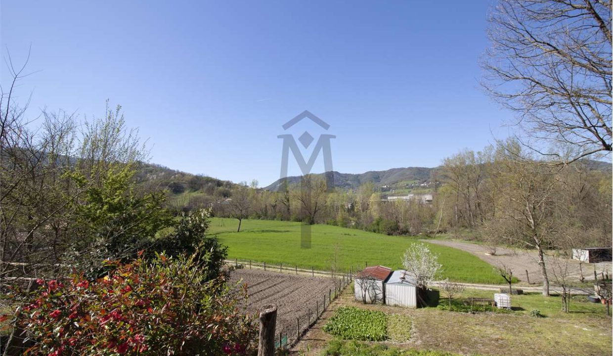 imm_41396-20251127172442-1280-