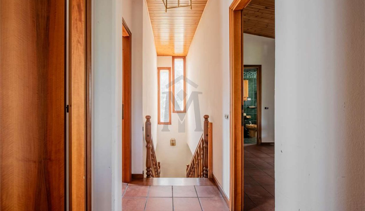 imm_42783-20250506190807-1280-