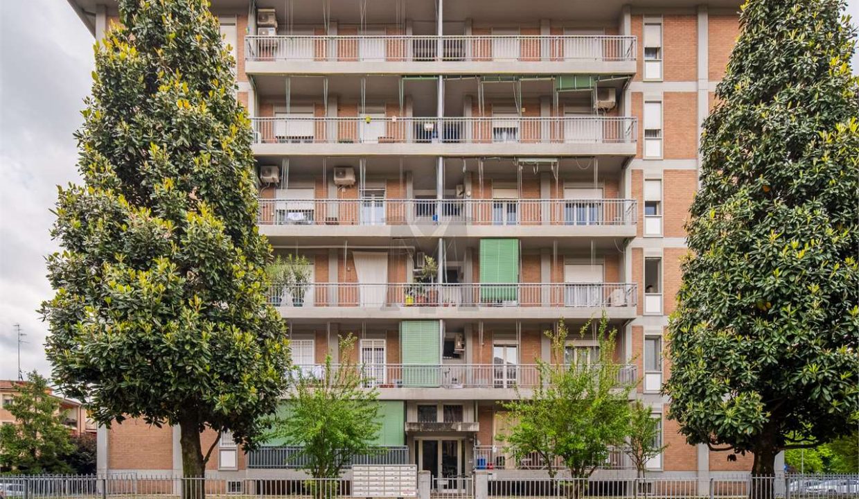 imm_43038-20250514161148-1280-