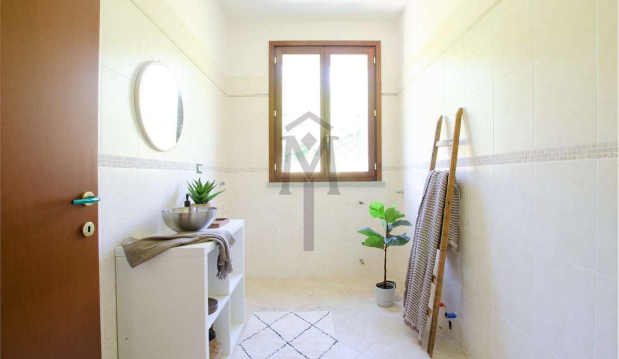 imm_43253-20250529123957-1280-