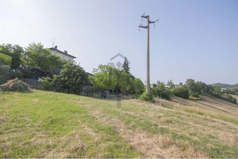 imm_43609-20250623170534-1280-