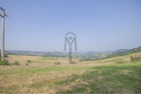 imm_43611-20250623170540-1280-