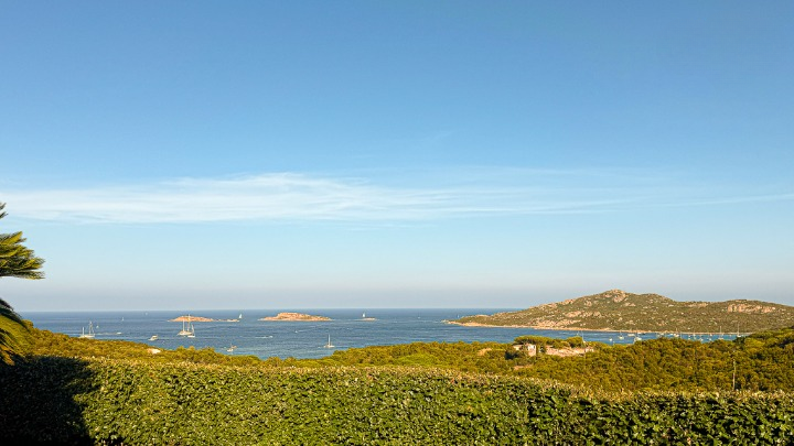 imm_43672-20250703092121-720-