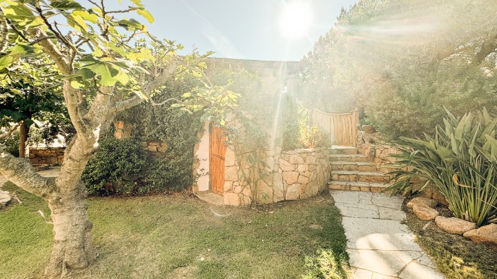 imm_43702-20250703092803-720-