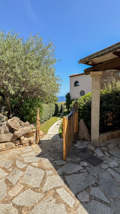 imm_43703-20250703092808-720