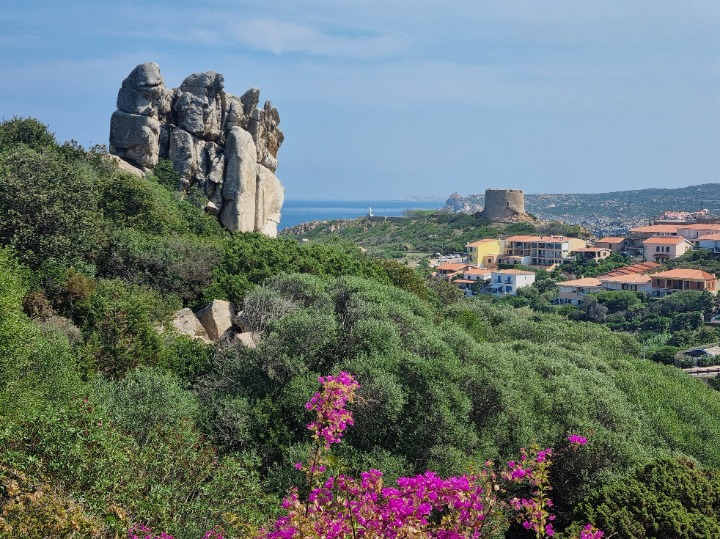 imm_43707-20250703105446-720-