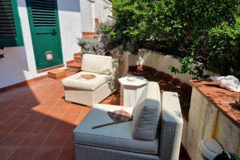 imm_43747-20250703105144-720-