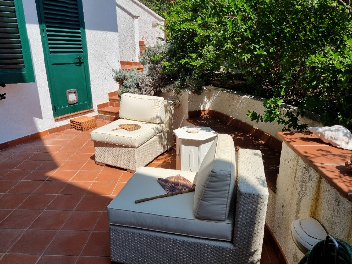 imm_43747-20250703105144-720-