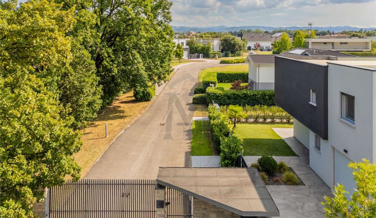 imm_44321-20250731162039-1280-