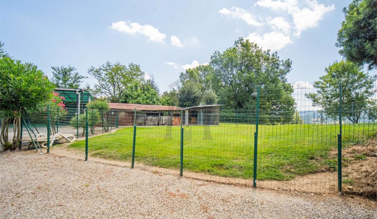 imm_44446-20250801172504-1280-