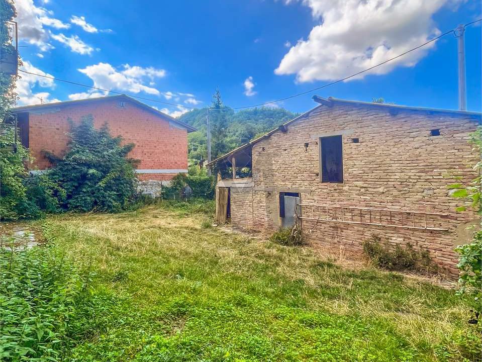 imm_44613-20250807172832-1280